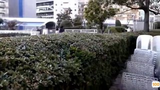 蓝发美女主播极品巨乳两个大奶子夹着自慰棒很是诱惑全裸自慰大秀